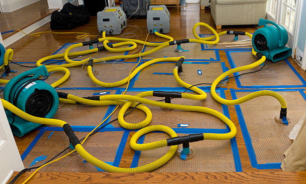 Professional Storm Water Damage Restoration technician working in Abbeville, LA